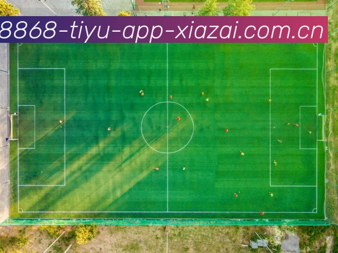 8868体育app下载APP 封面图
